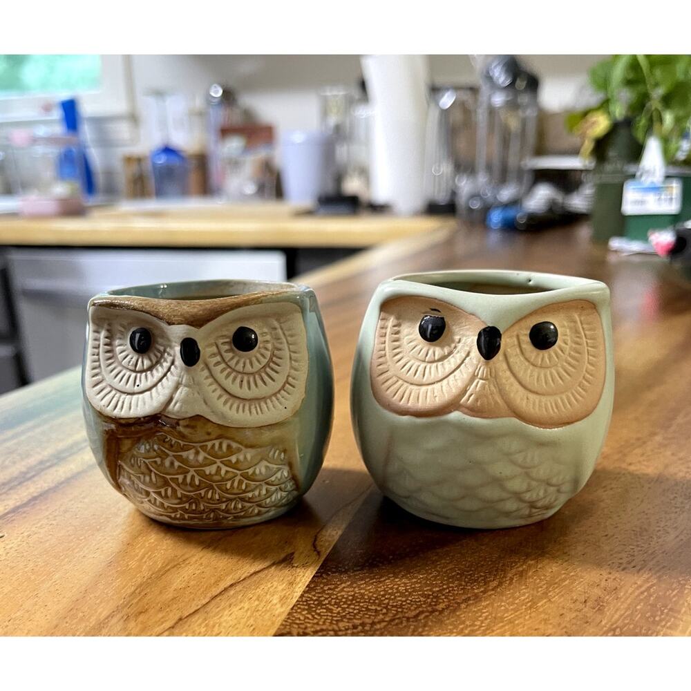 2 ceramic Owl planters birds animals Succulent pots Green blue decor Bonsai